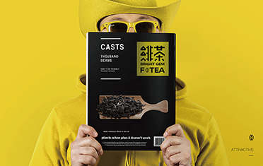 张家界绯茶品牌设计